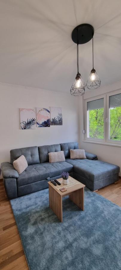 Apartman Visnja 苏博蒂察 外观 照片