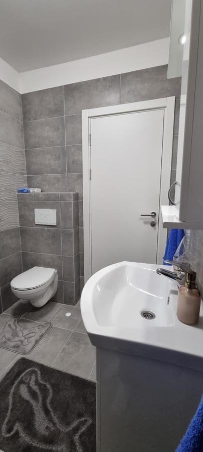 Apartman Visnja 苏博蒂察 外观 照片