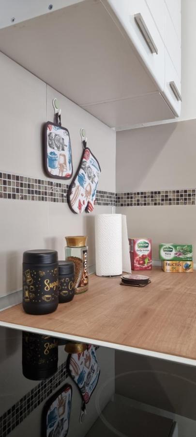 Apartman Visnja 苏博蒂察 外观 照片