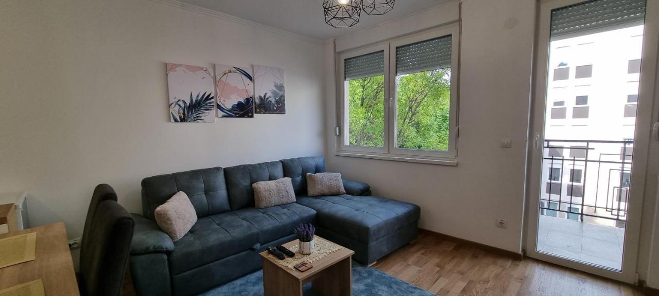 Apartman Visnja 苏博蒂察 外观 照片