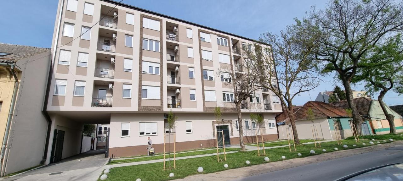 Apartman Visnja 苏博蒂察 外观 照片