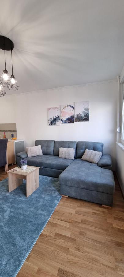 Apartman Visnja 苏博蒂察 外观 照片