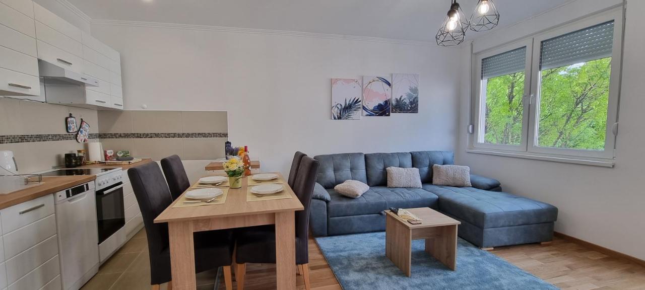 Apartman Visnja 苏博蒂察 外观 照片