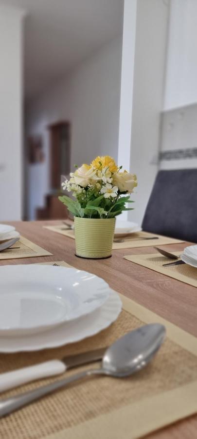 Apartman Visnja 苏博蒂察 外观 照片