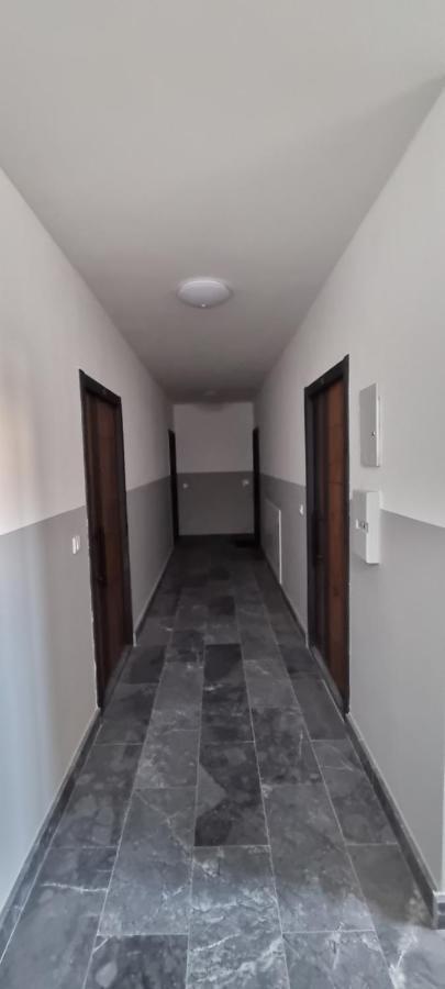 Apartman Visnja 苏博蒂察 外观 照片